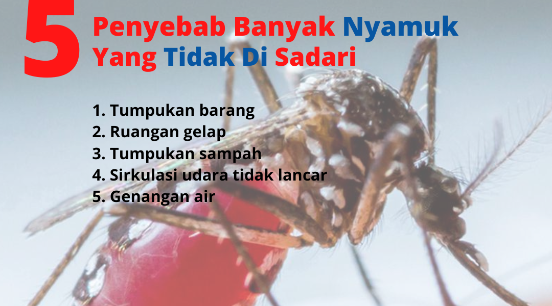 jasa basmi nyamuk medan