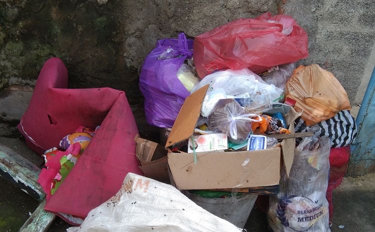 jasa basmi nyamuk medan